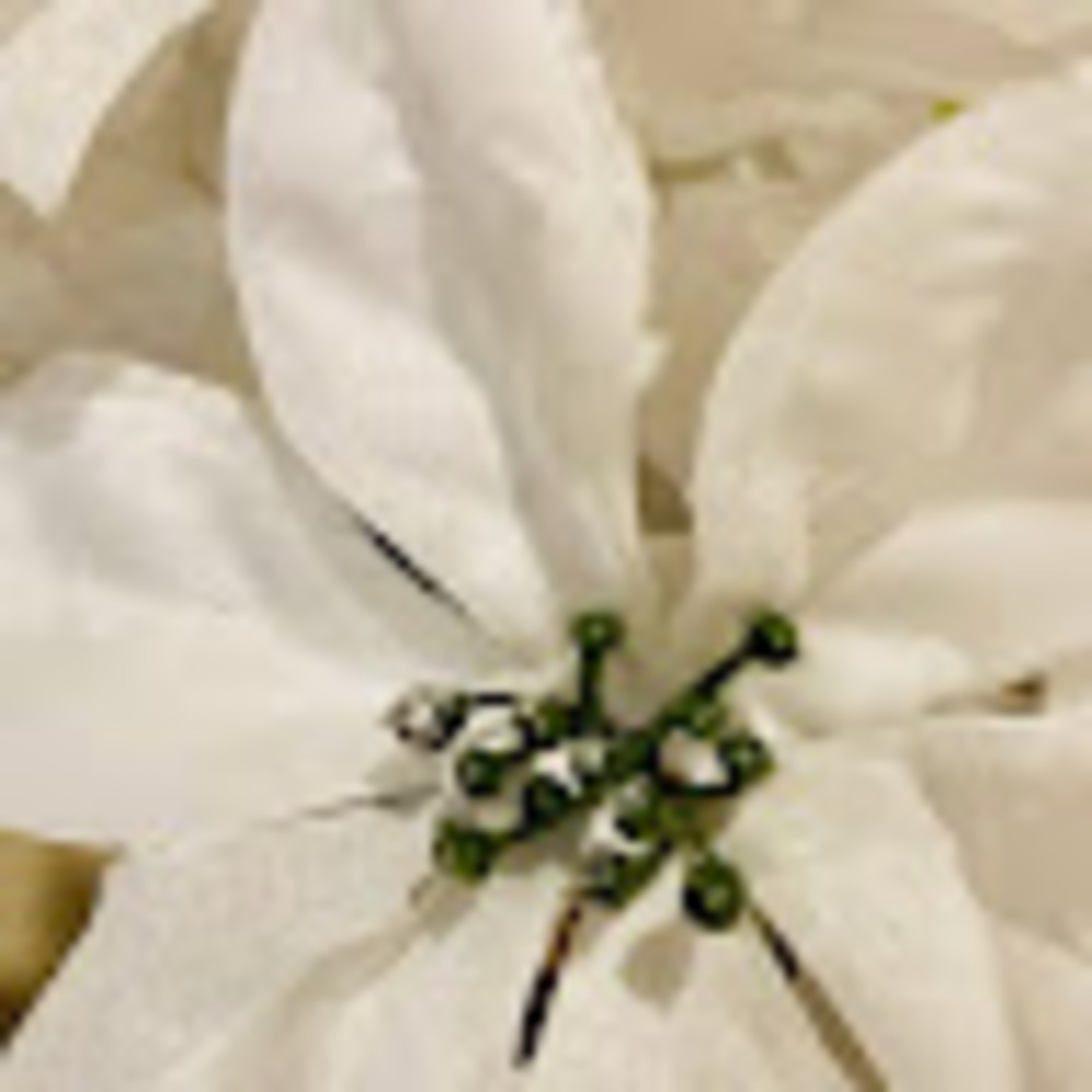 Meet your Posher, M.